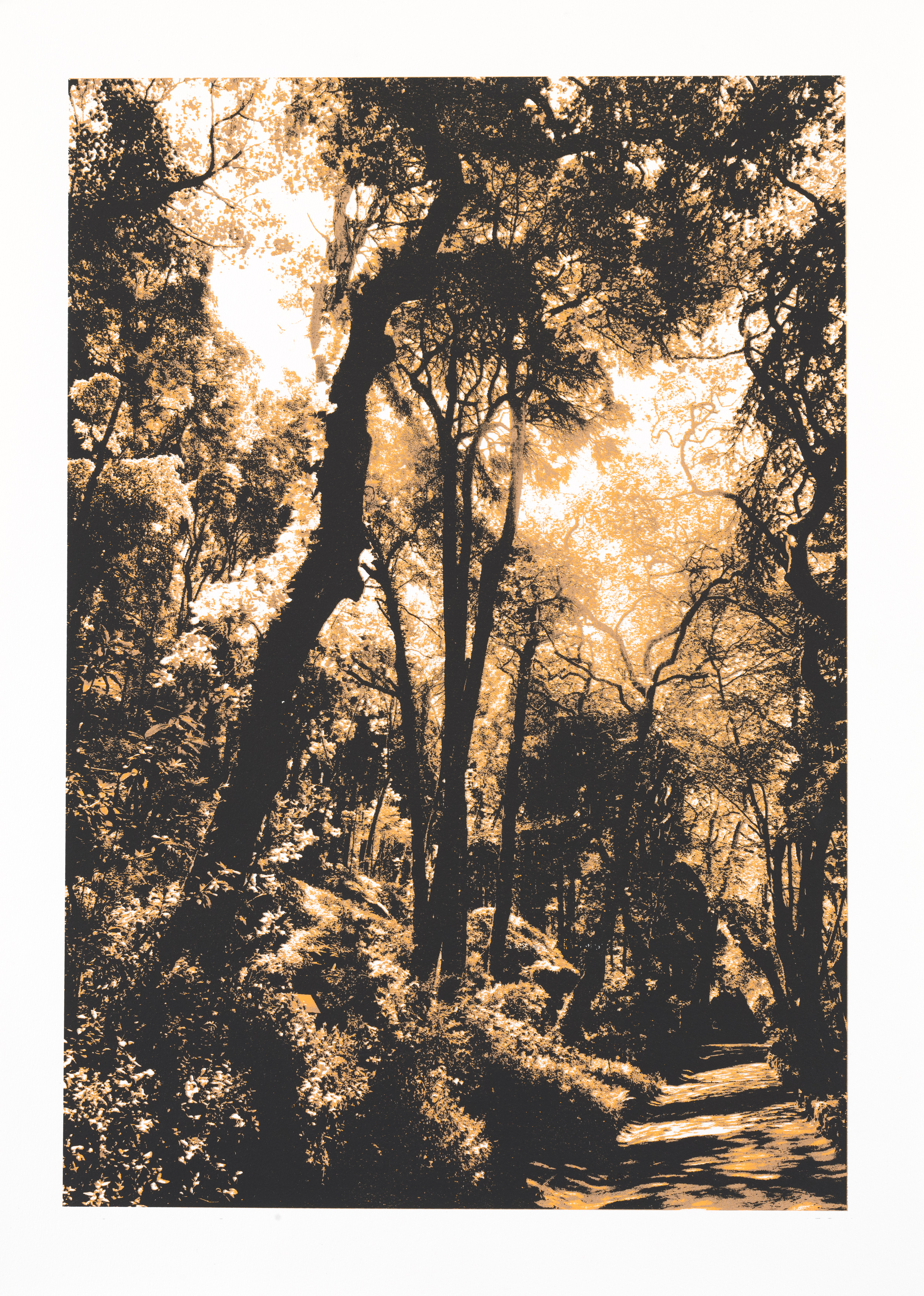 "So os caminhos eram meus" 70 x 50 cm. silkscreenprint (2011)