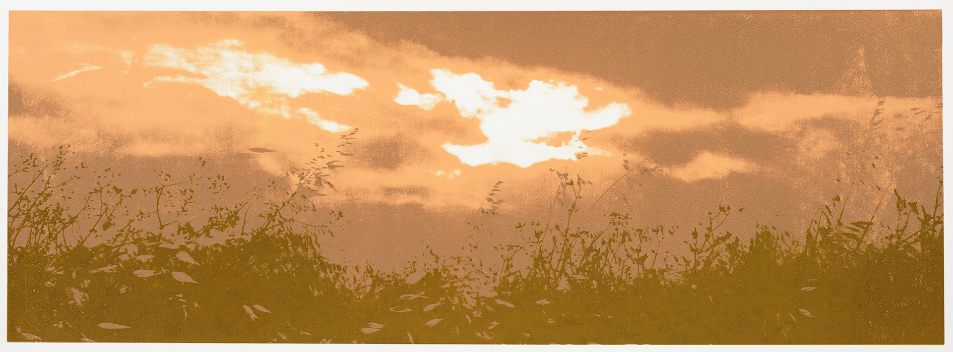 "Change of Seasons IV (fall)", 35 x 100 cm. silkscreenprint (2015)