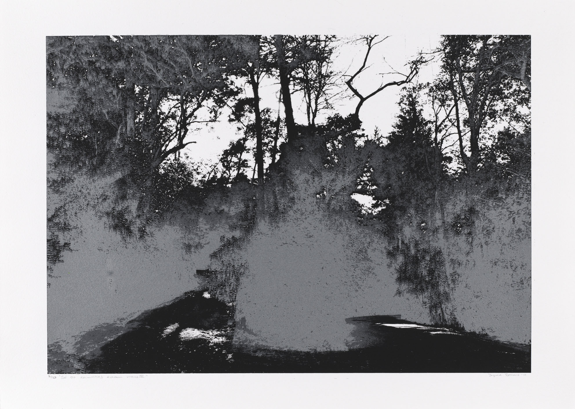 "So os caminhos eram meus II" 50 x 70 cm. silkscreenprint (2010)