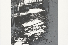 "Liebermann's Garten II" 31 x 21,5 cm. silkscreenprint (2010)