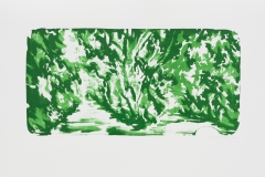 "Waldsicht" 41,5 x 29,9 cm. lithography (2014)