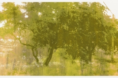 "Change of Seasons" monotype 35 x 100 cm. silkscreenprint (2015)