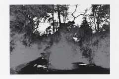 "So os caminhos eram meus II" 50 x 70 cm. silkscreenprint (2010)