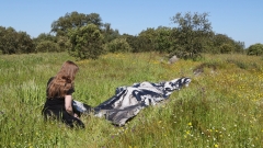 Preludio-em-Verde_Ingrid-Simons_Alentejo-2025_Filmstill-Pedro-Barral_44_00