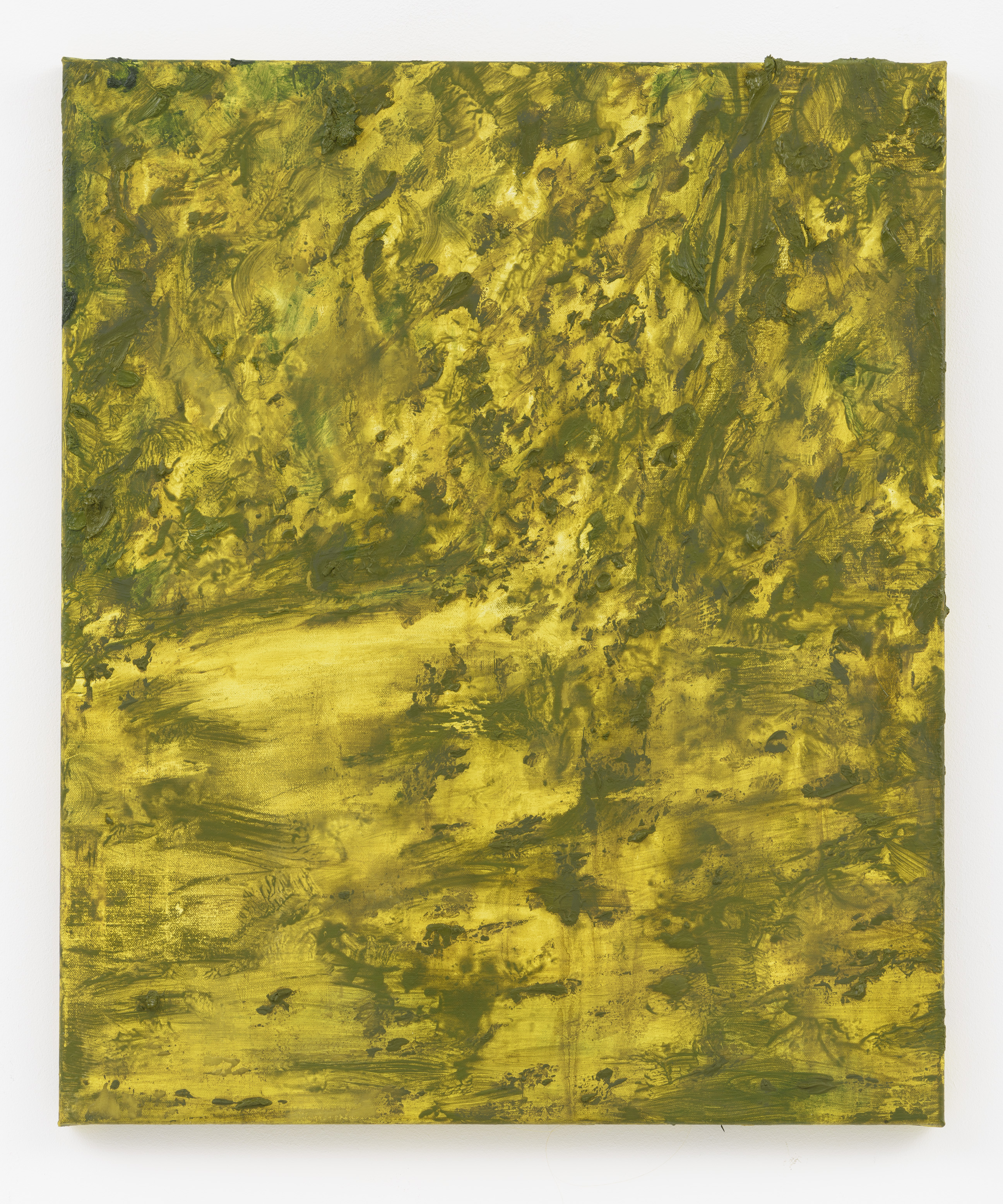 "Paisagem Dourada II" 60 x 50 cm. oil on linen 2015