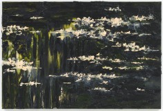 Etang des Nympheas II, 80 x 120 cm., oil on linen (2012)