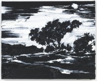 "Lua Cheia" 50 x 60 cm. oil on linen 2012