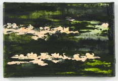 Sonho XXXIVIII 20 x 30 cm., oil on linen, 2012