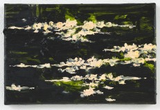 Sonho XXX, 20 x 30 cm., oil on linen, 2012