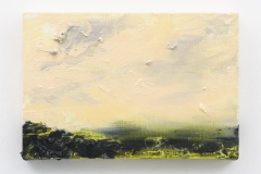 Herfstlicht III, 20 x 30 cm., Van Gogh A.i.R. (2017)