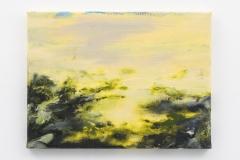 Herfstlicht II, 30 x 40 cm., Van Gogh A.i.R. (2017)