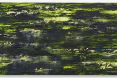 "Etang des Nympheas III" 70 x 140 cm. oil on linen 2013