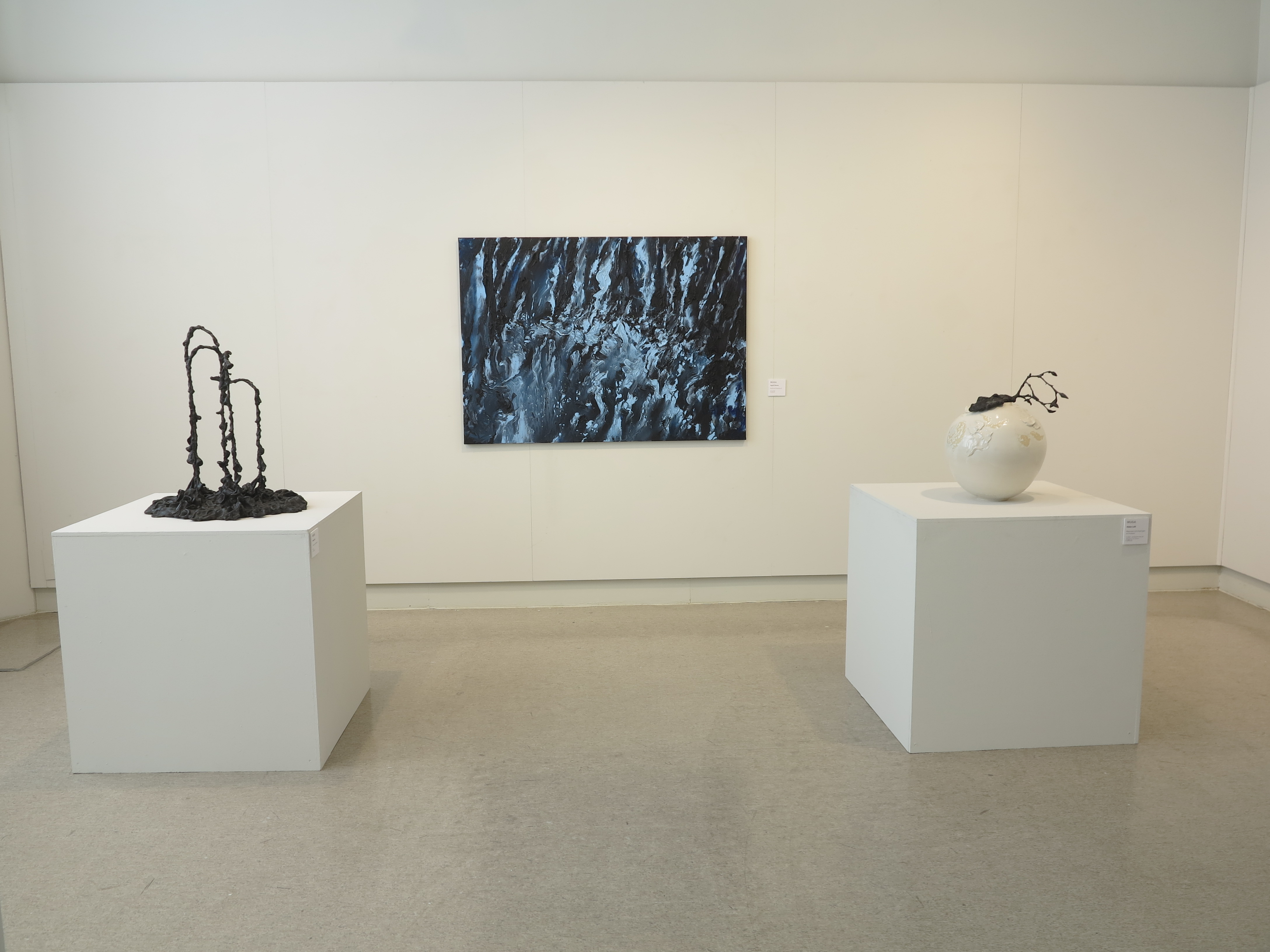 Museum Galerie (MuGa) Heerenveen, duo exhibiton with Hieke Luik  (2022)