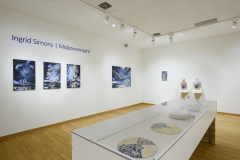 Solo exhibition at Museum Nairac, Collectie De Heus-Zomer, "Midzomernacht",  Barneveld (2023-2024) Photo by Peter Cox