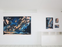 "Verbeelding van de Natuur", groupshow with Han Klinkhamer & Arjan van Arendonk, Galeri JoLi, Urmond (2024, NL)