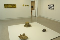 Museum Galerie (MuGa) Heerenveen, duo exhibiton with Hieke Luik  (2022)