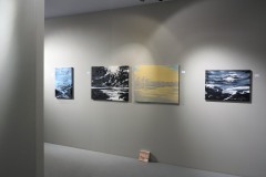 PAN Amsterdam, represented by Huub Hannen Galerie, RAI Amsterdam (2016)