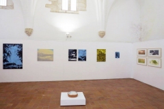 "Paraiso Escondido", solo exhibition at Galeria Municipal D. Dinis, Museu Prof. Joaquim Vermelho, Estremoz, Portugal (2017)