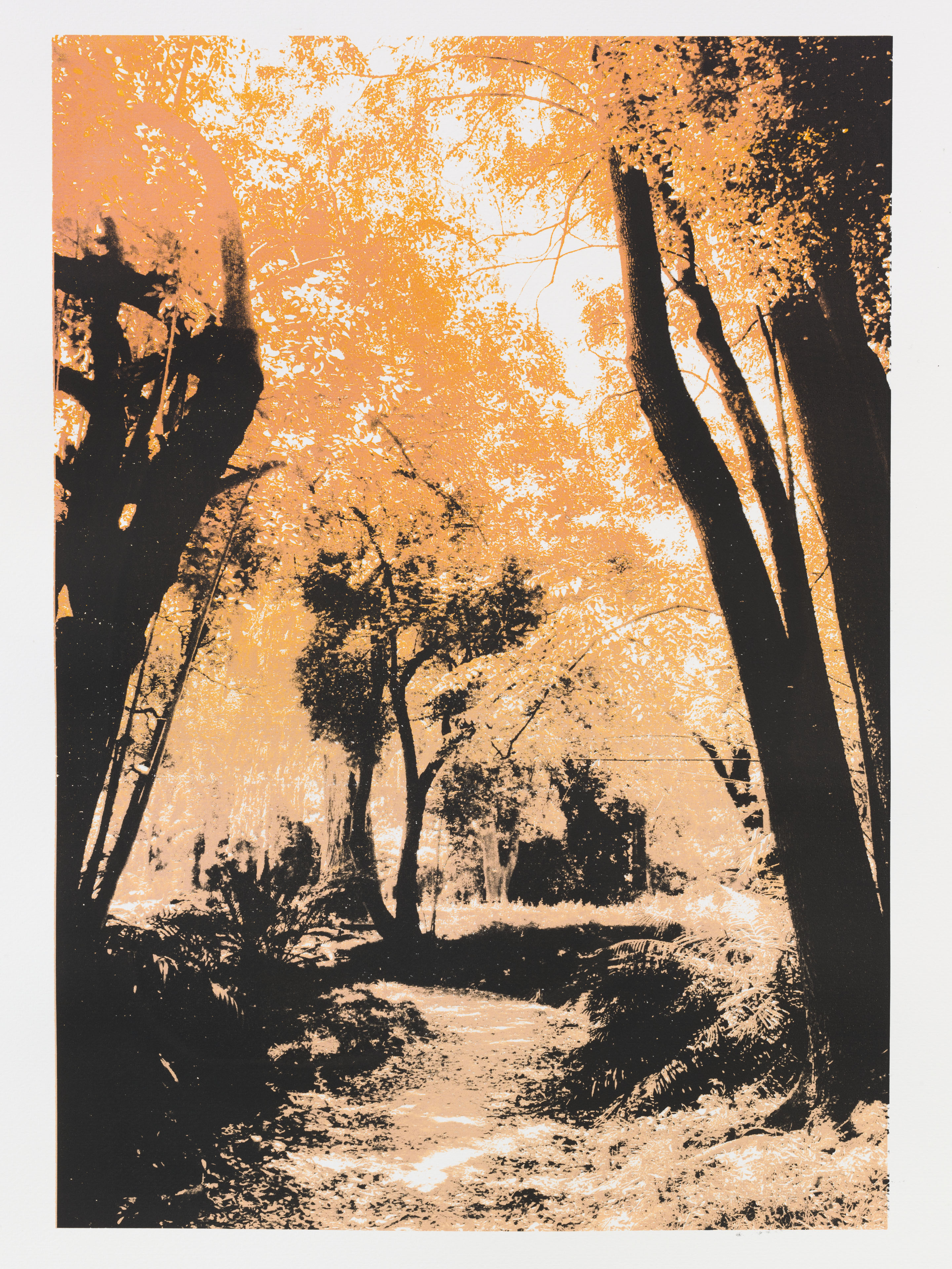 "So os caminhos eram meus XII" 70 x 50 cm. silkscreenprint (2013)