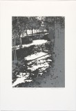 "Liebermann's Garten II" 31 x 21,5 cm. silkscreenprint (2010)