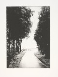 "Wander I"57 x 38 cm. toyobo print (2008)