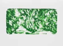 "Waldsicht" 41,5 x 29,9 cm. lithography (2014)