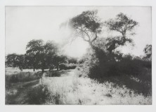 "Luz de Verao", 41 x 60 cm. toyobo print (2013)