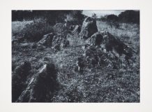 "Cry of the Fox IV" (2023), 50 x 65 cm., toyoboprint onHahnemuhle  paper ( Make Eindhoven, photo Peter Cox)