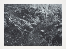 "Cry of the Fox II" (2023), 50 x 65 cm., toyoboprint on Hahnemuhle paper ( Make Eindhoven, photo Peter Cox)