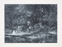 "Cry of the Fox I" (2023), 50 x 65 cm., toyoboprint on Hahnemuhle paper ( Make Eindhoven, photo Peter Cox)