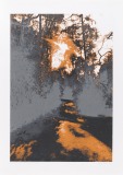 "So os caminhos eram meus I" 70 x 50 cm. silkscreenprint (2010)