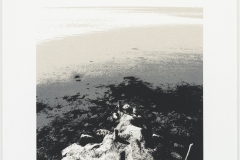 "Etang de Vaccares" 38,5 x 27,5 cm. silkscreenprint (2011)