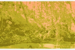 "Change of Seasons II (spring)", 35 x 100 cm. silkscreenprint (2015)