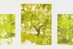 montage-2