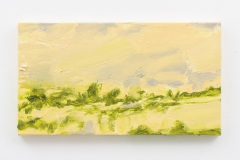 "Oude Buisse Heide IV" 25 x 45 cm. oil on linen 2017 (Air Van GoghHuis)