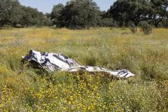 Filmstill performance "Mar das Flores", during the residency at Fundacao Obras, Alentejo, Portugal , May 9 & 10th, 2024. Filmed and edited by Pedro Barral (PT)