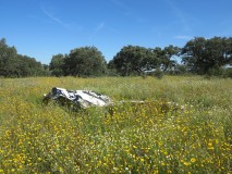 Filmstill performance "Mar das Flores", during the residency at Fundacao Obras, Alentejo, Portugal , May 9 & 10th, 2024. Filmed and edited by Pedro Barral (PT)