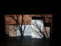 "Het Spookbosch", Van Gogh A.i.R., Landgoed De Moeren Van Gogh Nationalpark, Klein Zundert (2022)