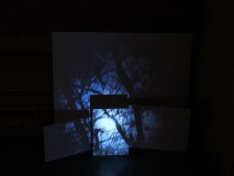 "Het Spookbosch", Van Gogh A.i.R., Landgoed De Moeren Van Gogh Nationalpark, Klein Zundert (2022)_4365