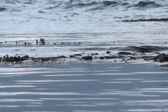 Filmstill of the short film, "Eg var her før", Hardangerfjord, KH Messen, Norway (2019)