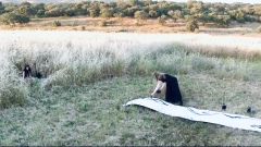 Filmstill performance "Molitva", cooperation with Sophie Tassignon (musician D/B), during the residency at Fundacao Obras, Évora Monte, Alentejo, Portugal , May 27th, 2024. Filmed  by Ludger van der Eerden (PT)