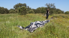 Filmstill performance "Prelúdio em Verde" (Evora Monte), during the residency at Fundacao Obras, Évora Monte, Alentejo, Portugal , April 3th, 2025. Film and edit by  by Pedro Barral (PT)