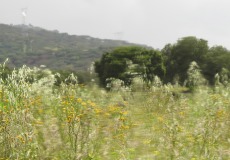 Still from short film "Chuva (Portugal)", (1 minute, 2016)