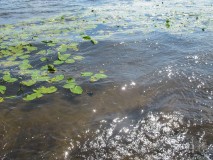 Still from short film "Black Water (Berlin)", (1 minute, 2013)