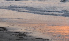 Still from short film "Morte do Sol (Portugal)", (1 minute, 2013)